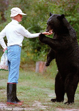 Woman Thinks She Can Touch a Performing Bear She Was DEAD Wrong